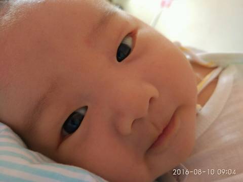 journal_insert_pic_689077432