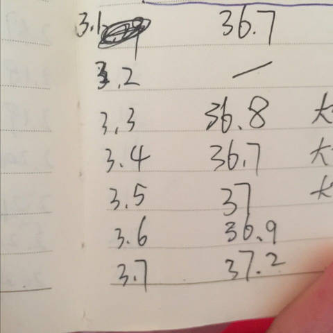journal_insert_pic_689368127