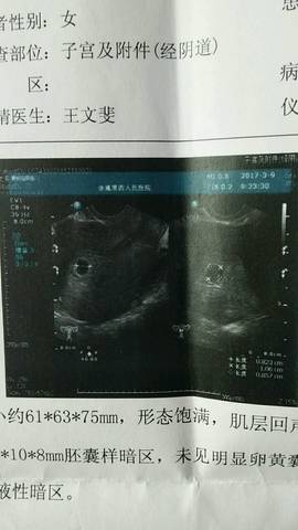 journal_insert_pic_689532262