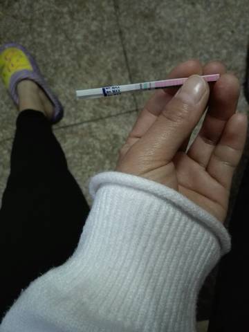 journal_insert_pic_690007538
