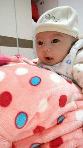 journal_insert_pic_690222074