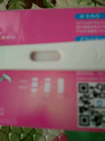journal_insert_pic_691167749