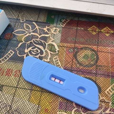journal_insert_pic_690824548