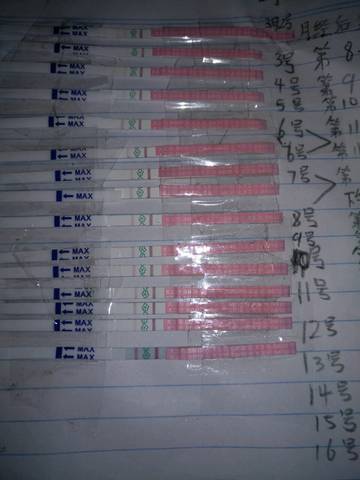 journal_insert_pic_692436683