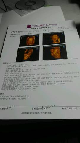 journal_insert_pic_692497916
