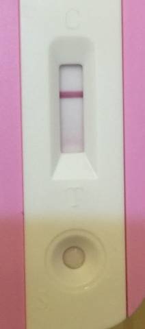journal_insert_pic_692574866