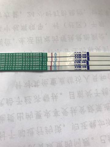 journal_insert_pic_693350530