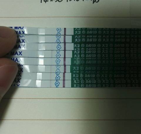 journal_insert_pic_693552860