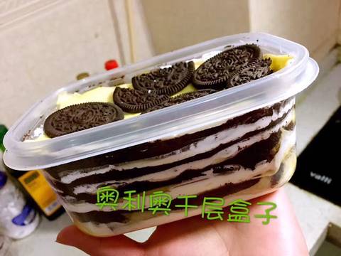 journal_insert_pic_694273464