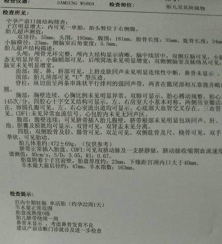 journal_insert_pic_694149782