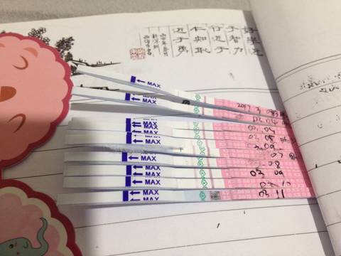 journal_insert_pic_694263247