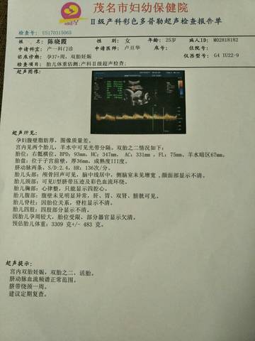 journal_insert_pic_694066972