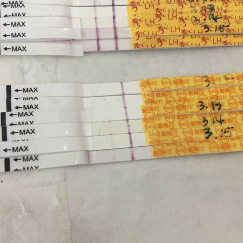 journal_insert_pic_694655786