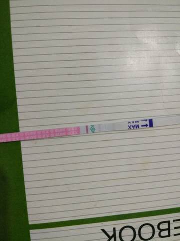 journal_insert_pic_695133663