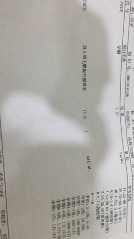 journal_insert_pic_694939294