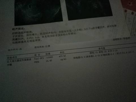 journal_insert_pic_695729585