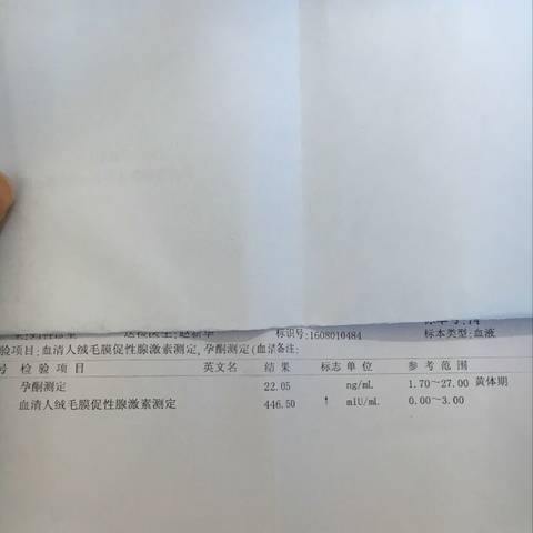 journal_insert_pic_695641203