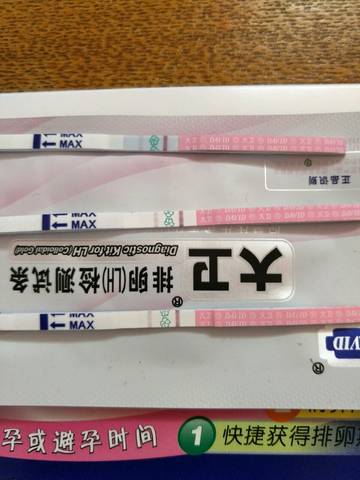 journal_insert_pic_696127016
