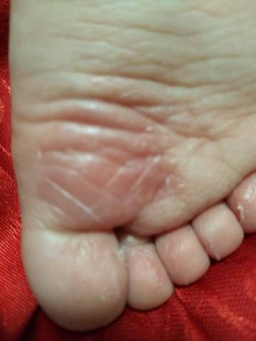 journal_insert_pic_697454588