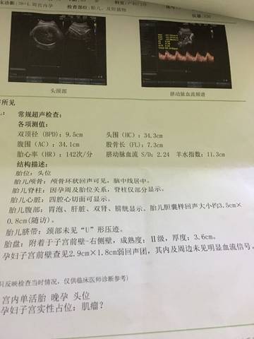 journal_insert_pic_698033058