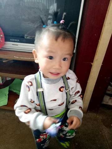 journal_insert_pic_698955408