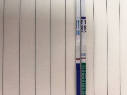 journal_insert_pic_699264434