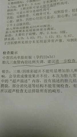 journal_insert_pic_699336199