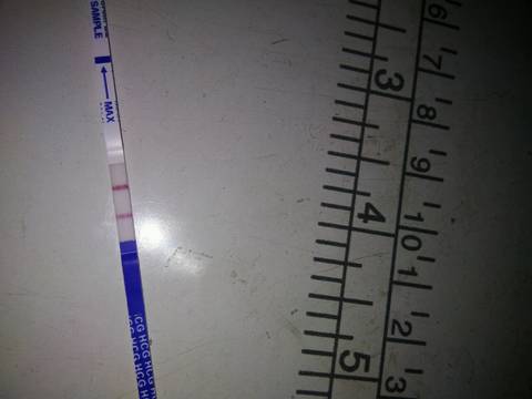 journal_insert_pic_699909192