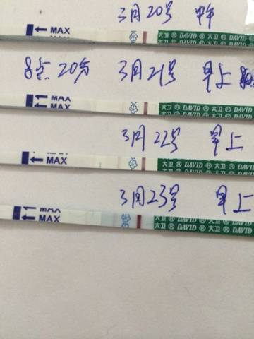 journal_insert_pic_699971208