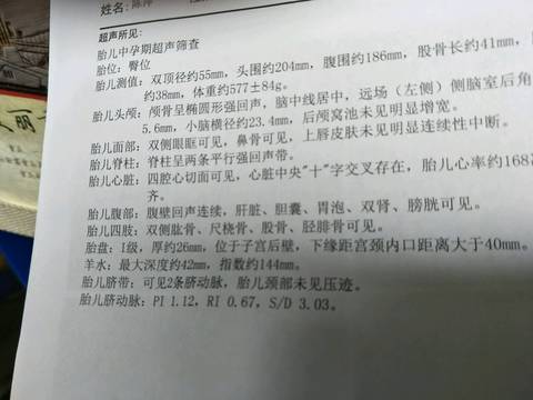 journal_insert_pic_700186159