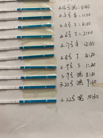 journal_insert_pic_699999227