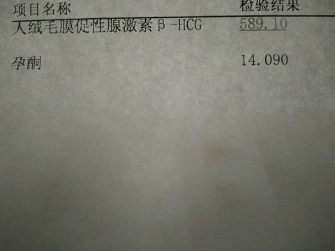 journal_insert_pic_700900429