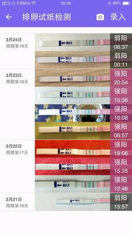 journal_insert_pic_700737476