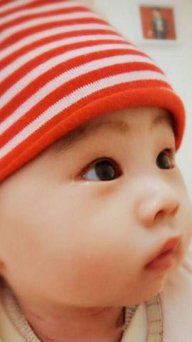 journal_insert_pic_701114212