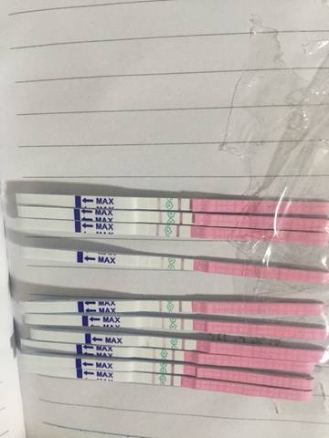 journal_insert_pic_700763003