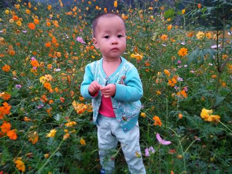 journal_insert_pic_701400589