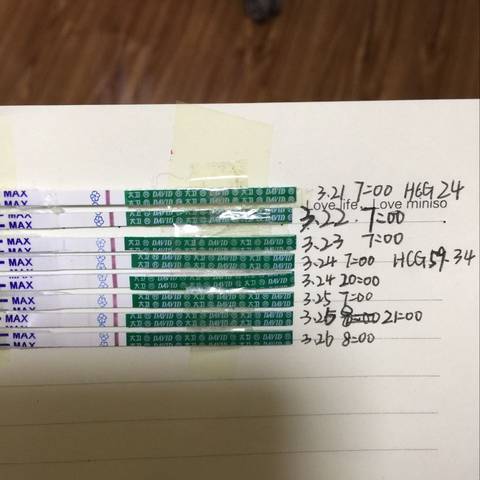 journal_insert_pic_702276257