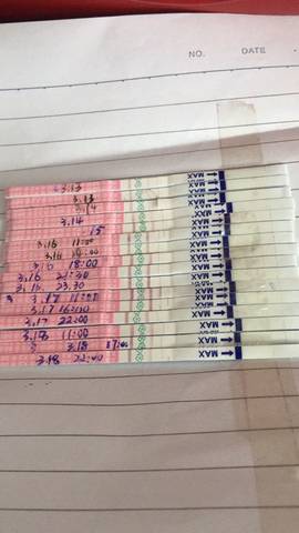journal_insert_pic_702430415