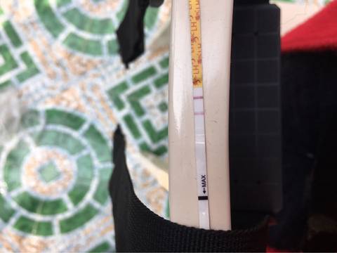journal_insert_pic_702214142