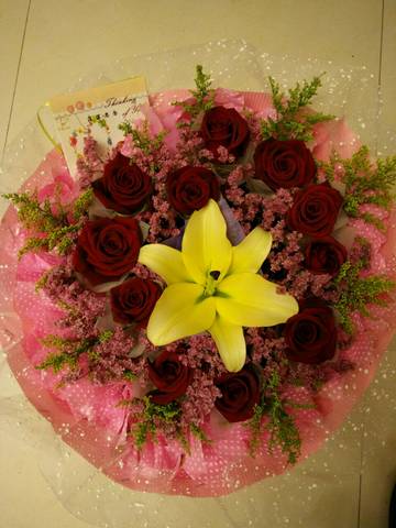 journal_insert_pic_702941352