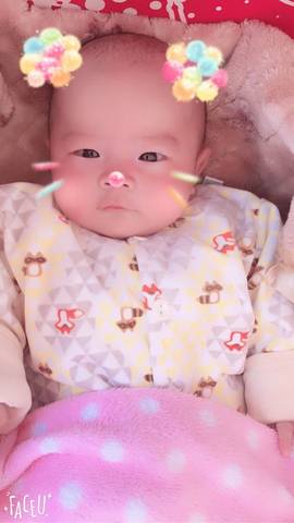 journal_insert_pic_703486655