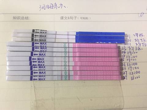 journal_insert_pic_703322405