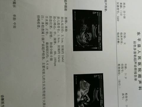 journal_insert_pic_703768358