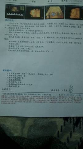journal_insert_pic_704113411