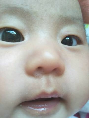 journal_insert_pic_703996384