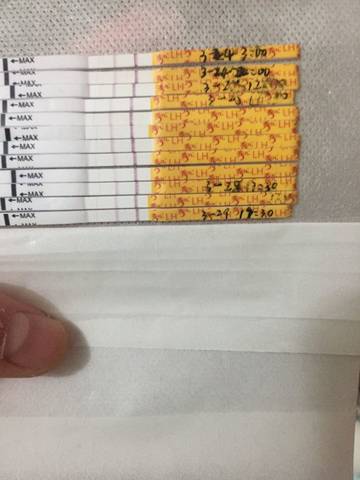 journal_insert_pic_705028758