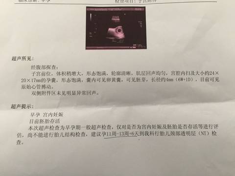 journal_insert_pic_704557368