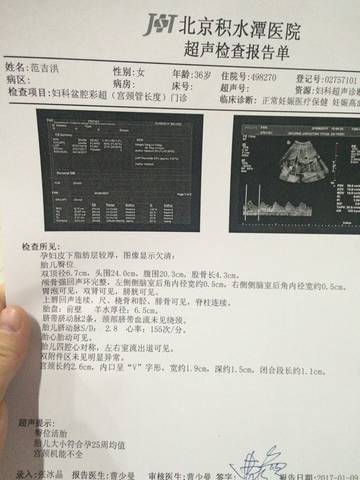 journal_insert_pic_704584404