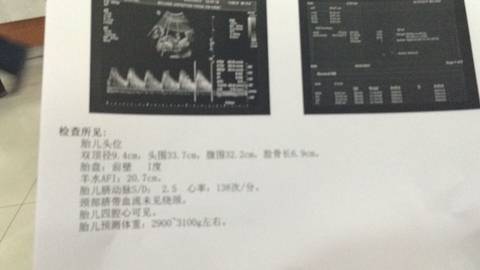 journal_insert_pic_704584412