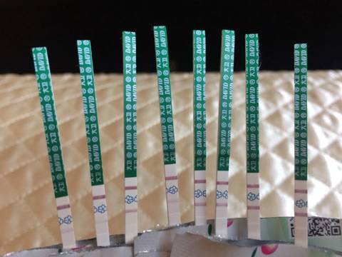 journal_insert_pic_704613036